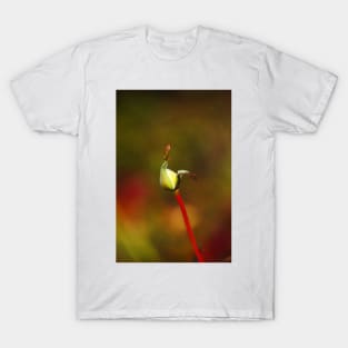 Rose Bud Rich Stem T-Shirt